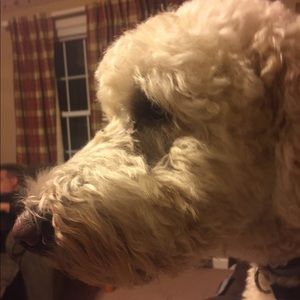 Meet your Posher, Anita